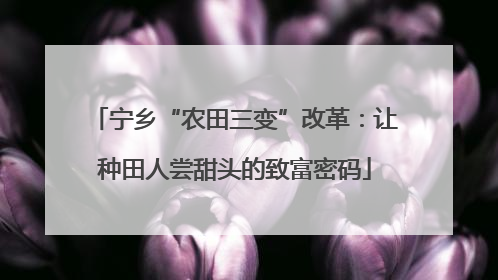 宁乡“农田三变”改革：让种田人尝甜头的致富密码
