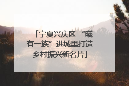 宁夏兴庆区 “曦有一族”进城里打造乡村振兴新名片