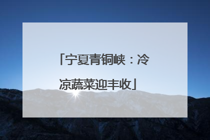 宁夏青铜峡：冷凉蔬菜迎丰收
