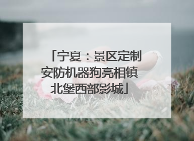宁夏：景区定制安防机器狗亮相镇北堡西部影城