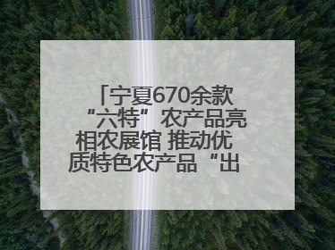 宁夏670余款“六特”农产品亮相农展馆 推动优质特色农产品“出宁进京”
