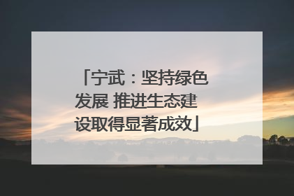 宁武：坚持绿色发展 推进生态建设取得显著成效