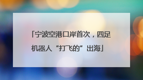 宁波空港口岸首次，四足机器人“打飞的”出海