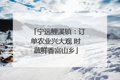 宁远鲤溪镇：订单农业兴大观 时蔬鲜香富山乡
