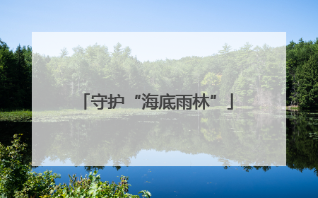 守护“海底雨林”