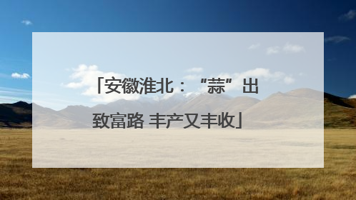 安徽淮北：“蒜”出致富路 丰产又丰收