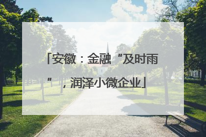 安徽：金融“及时雨”，润泽小微企业