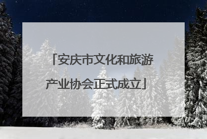 安庆市文化和旅游产业协会正式成立