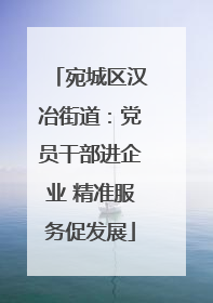 宛城区汉冶街道：党员干部进企业 精准服务促发展