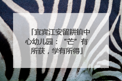 宜宾江安留耕镇中心幼儿园：“芒”有所获，学有所得