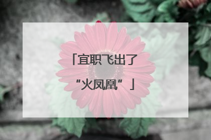 宜职飞出了“火凤凰”