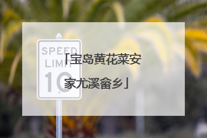 宝岛黄花菜安家尤溪畲乡