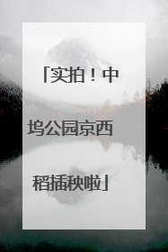 实拍！中坞公园京西稻插秧啦
