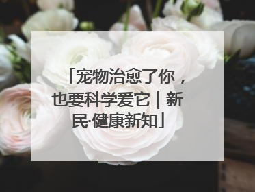 宠物治愈了你，也要科学爱它｜新民·健康新知