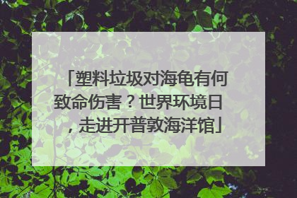 塑料垃圾对海龟有何致命伤害？世界环境日，走进开普敦海洋馆
