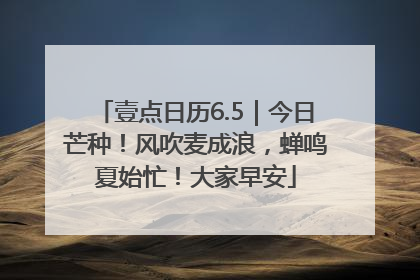壹点日历6.5｜今日芒种！风吹麦成浪，蝉鸣夏始忙！大家早安