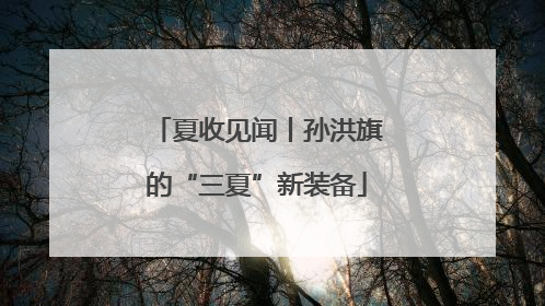 夏收见闻丨孙洪旗的“三夏”新装备