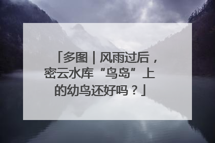 多图｜风雨过后，密云水库“鸟岛”上的幼鸟还好吗？