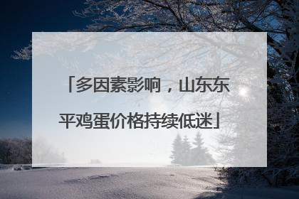 多因素影响，山东东平鸡蛋价格持续低迷