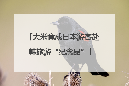 大米竟成日本游客赴韩旅游“纪念品”