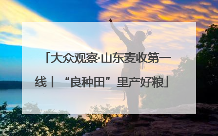大众观察·山东麦收第一线丨“良种田”里产好粮