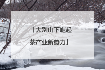 大别山下崛起茶产业新势力