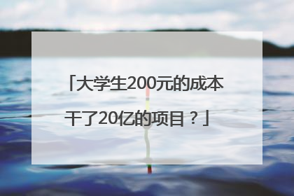 大学生200元的成本干了20亿的项目？