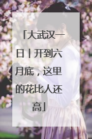 大武汉一日︱开到六月底，这里的花比人还高