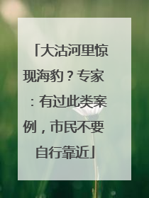 大沽河里惊现海豹？专家：有过此类案例，市民不要自行靠近