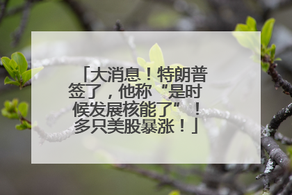 大消息！特朗普签了，他称“是时候发展核能了”！多只美股暴涨！