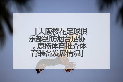 大阪樱花足球俱乐部到访烟台足协，鹿扬体育推介体育装备发展情况