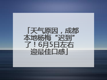天气原因，成都本地杨梅“迟到”了！6月5日左右迎最佳口感