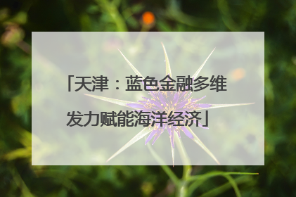 天津：蓝色金融多维发力赋能海洋经济