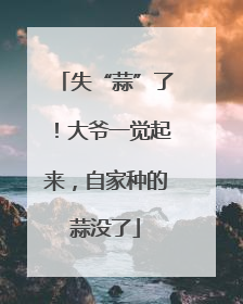 失“蒜”了！大爷一觉起来，自家种的蒜没了