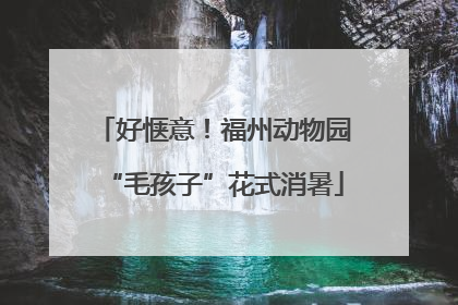 好惬意！福州动物园“毛孩子”花式消暑