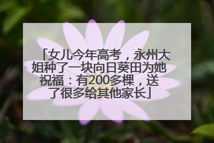 女儿今年高考，永州大姐种了一块向日葵田为她祝福：有200多棵，送了很多给其他家长