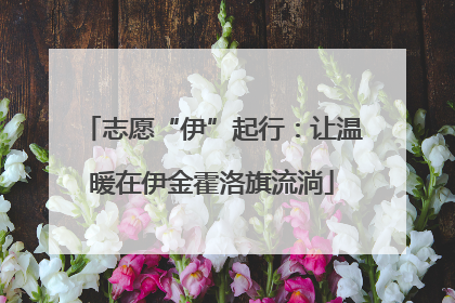 志愿“伊”起行：让温暖在伊金霍洛旗流淌
