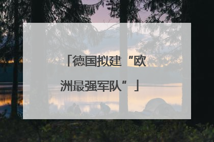 德国拟建“欧洲最强军队”