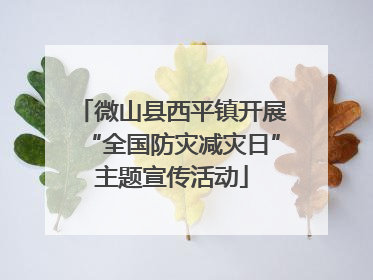 微山县西平镇开展“全国防灾减灾日”主题宣传活动