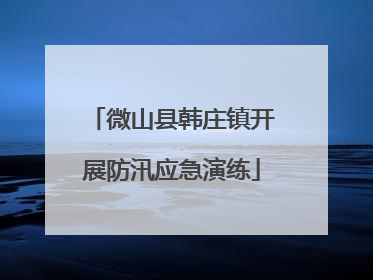 微山县韩庄镇开展防汛应急演练
