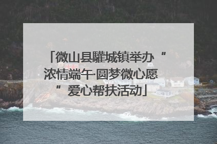 微山县驩城镇举办“浓情端午·圆梦微心愿”爱心帮扶活动