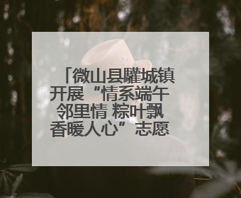 微山县驩城镇开展“情系端午邻里情 粽叶飘香暖人心”志愿服务活动