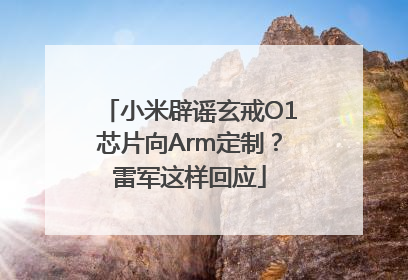 小米辟谣玄戒O1芯片向Arm定制？雷军这样回应
