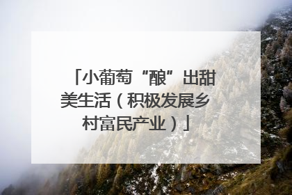 小葡萄“酿”出甜美生活（积极发展乡村富民产业）