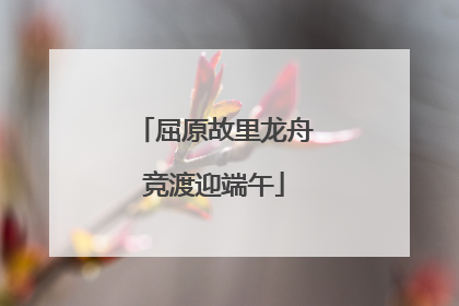 屈原故里龙舟竞渡迎端午
