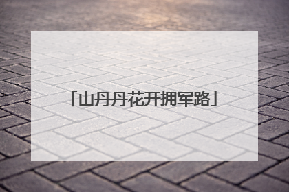 山丹丹花开拥军路