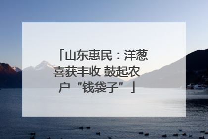 山东惠民：洋葱喜获丰收 鼓起农户“钱袋子”