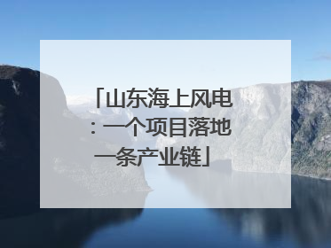 山东海上风电：一个项目落地一条产业链
