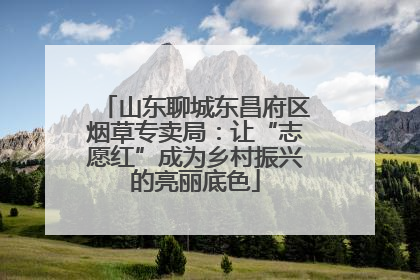山东聊城东昌府区烟草专卖局：让“志愿红”成为乡村振兴的亮丽底色