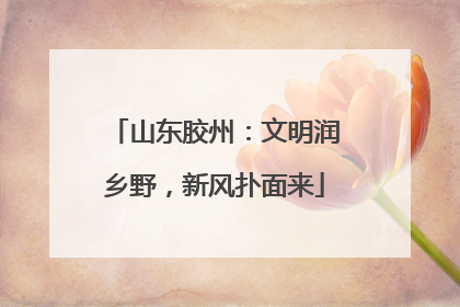 山东胶州：文明润乡野，新风扑面来